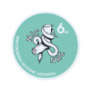 NIC NAC Wintergreen - 6 mg (Nicotine Lozenges)