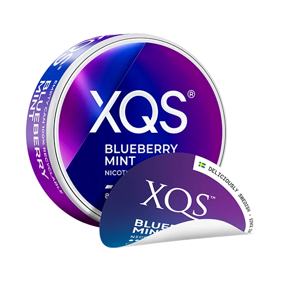 XQS Blueberry Mint - 8mg