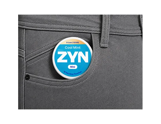 ZYN Cool Mint Mini - 1.5mg (10 Pouches) - Image 2